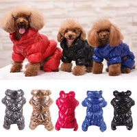 HKM-5477437 Cotton Pet Down Jacket for Comfort and Dryness