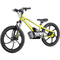 HKM-548371 36V 400W Electric Bicycle for Kids Ages 8-15, 20-Inch Wheel, Aluminum Frame, 3-Speed, Disc Brake, Rear Hub Motor