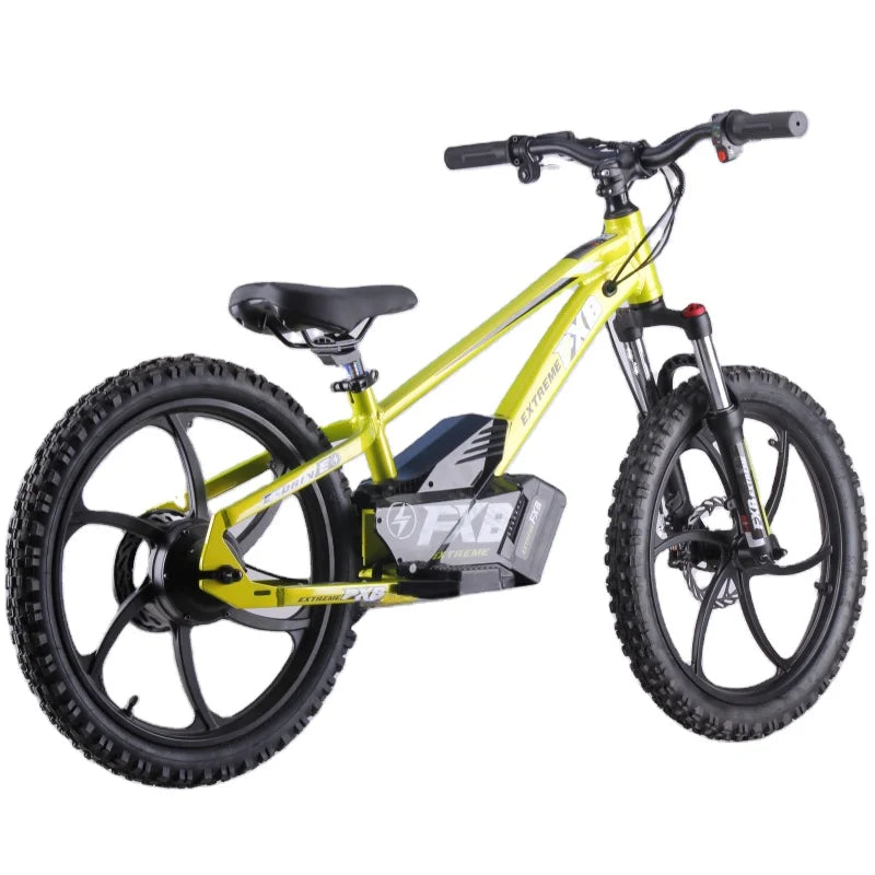 HKM-548371 36V 400W Electric Bicycle for Kids Ages 8-15, 20-Inch Wheel, Aluminum Frame, 3-Speed, Disc Brake, Rear Hub Motor