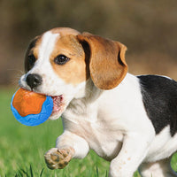 HKM-548563 Dog Toy Ball Audible Glow Can Float Grinding Teeth Pets Toy