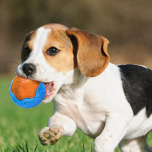 HKM-548563 Dog Toy Ball Audible Glow Can Float Grinding Teeth Pets Toy