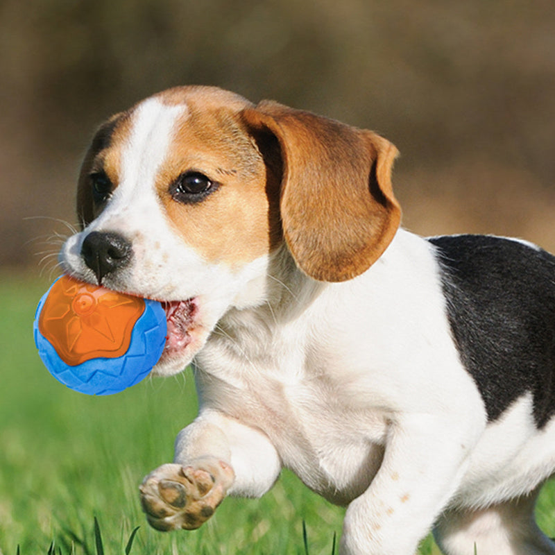 HKM-548563 Dog Toy Ball Audible Glow Can Float Grinding Teeth Pets Toy