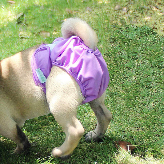 HKM-5492413 Dog Waterproof Menstrual Pants with Velcro Closure in Multiple Colors and Sizes