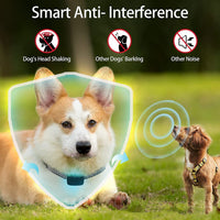 HKM-5496509 Smart Bark Stopper with Adjustable Sensitivity and Waterproof Design