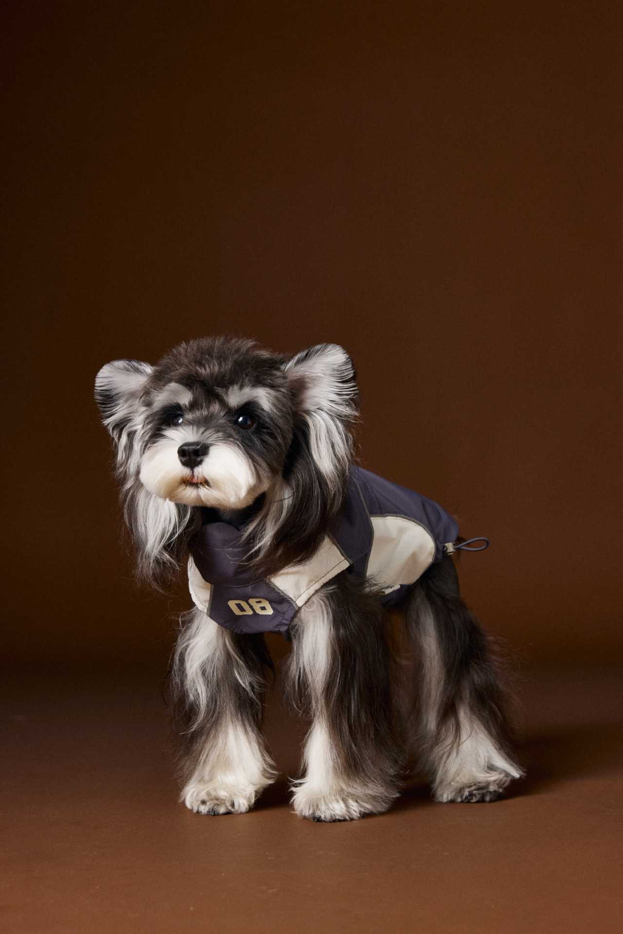 HKM-5499069 Casual Autumn Dog Clothes with Traction Rope Buckle for Small Breeds