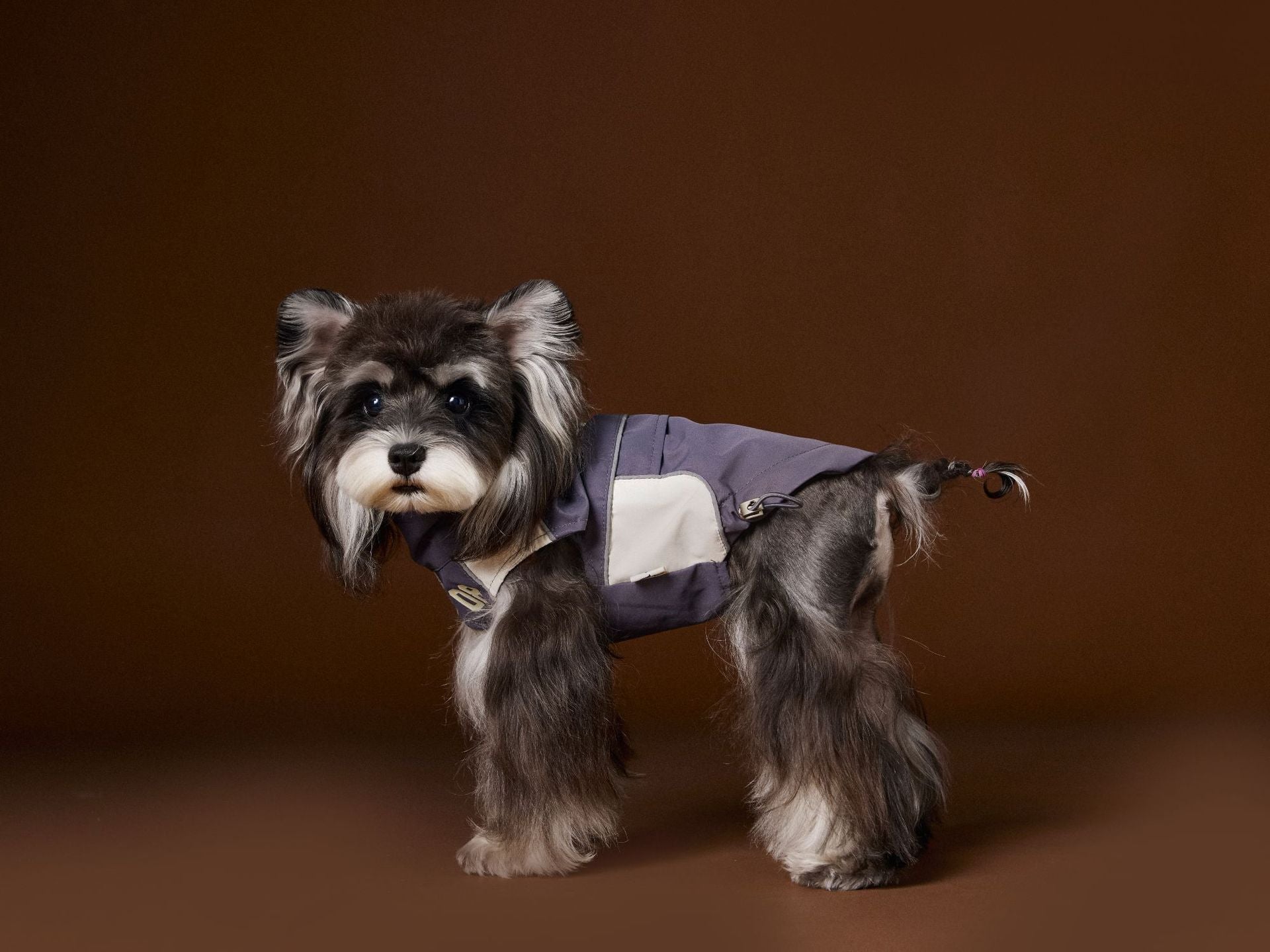 HKM-5499069 Casual Autumn Dog Clothes with Traction Rope Buckle for Small Breeds
