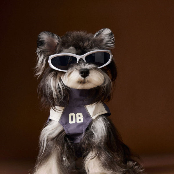 HKM-5499069 Casual Autumn Dog Clothes with Traction Rope Buckle for Small Breeds