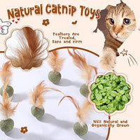 HKM-5501757 Interactive Catnip Feather Ball - Natural Compressed Cat Kicker Toy for Cats