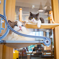 HKM-5501885 Window-Style Cat Hammock with Strong Suction Cup, Canvas & PP Material, Perfect for Sunbathing Pets