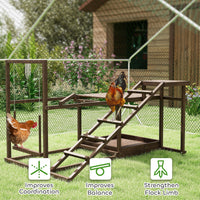 HKM-5503933 Chicken Activity Play Set with Multi-Level Perch and Swing for Enrichment