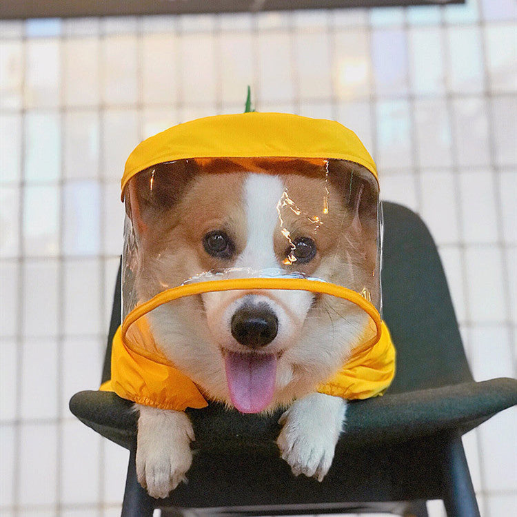 HKM-5504445 Cute Dinosaur Raincoat for Pets - Waterproof Polyester, Breathable Mesh, Available in Multiple Sizes
