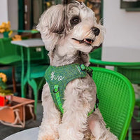 HKM-5509821 Portable Dog Vest with Leash Attachment - Outdoor Pet Gear in Green, Black, and Purple