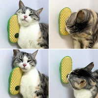 HKM-5524797 Wall-Mounted Catnip Toy Balls with Massage Brush and Self-Grooming Features for Indoor Cats