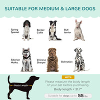 HKM-5525949 Elegant Velvet Pet Sofa for Medium to Large Dogs with Solid Wood Legs, Removable Cushion, Green