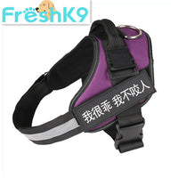 HKM-5526589 Durable Nylon Pet Chest Harness for Dogs - Adjustable Chest Strap