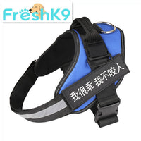 HKM-5526589 Durable Nylon Pet Chest Harness for Dogs - Adjustable Chest Strap