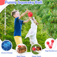 HKM-5528765 Indestructible Squeaky Dog Ball for Aggressive Chewers - Waterproof, Teeth Cleaning Interactive Chew Toy for Large Breeds