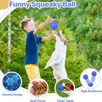 HKM-5528765 Indestructible Squeaky Dog Ball for Aggressive Chewers - Waterproof, Teeth Cleaning Interactive Chew Toy for Large Breeds