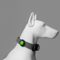 HKM-5529277 Luminous LED Dog Walking Light Pendant - USB Rechargeable Anti-Lost Collar Accessory