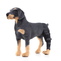 HKM-5537213 Leg Rehabilitation Foot Support for Pets - Adjustable Protective Gear in SBR Material