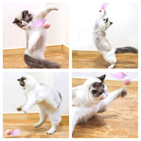 HKM-5537853 Automatic Telescopic Cat Teaser Stick with 1.5m Line and Wool Ball - Pink