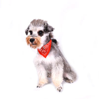 HKM-5540797 Triangular Pet Dog Scarf in Pink, Blue, Black, and Red - PU Material for All Seasons