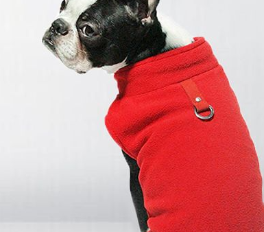 HKM-5543869 Fluffy Polar Fleece Dog Hoodie - Warm Solid Color Sweater for Small to Medium Dogs
