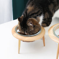 HKM-5544765 Glass UFO Pet Bowl with Oak Frame - Two Sizes: 480ML & 800ML