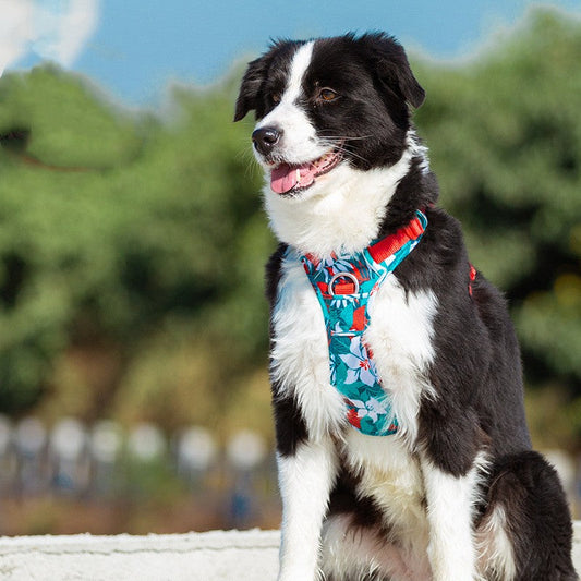 HKM-5547837 Camouflage Dog Chest Strap with Reflective Material and Hand-Holding Rope