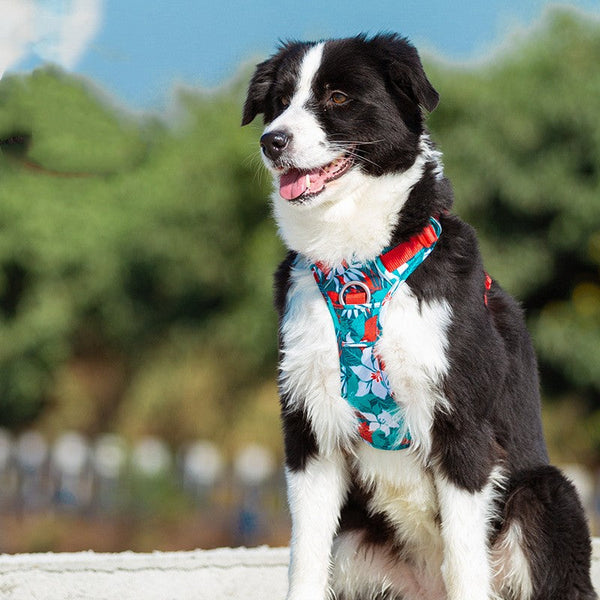 HKM-5547837 Camouflage Dog Chest Strap with Reflective Material and Hand-Holding Rope