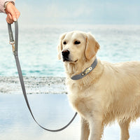 HKM-5550397 Medium Dog Leash and Collar Set - Multiple Colors Available