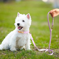 HKM-5550397 Medium Dog Leash and Collar Set - Multiple Colors Available