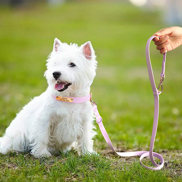 HKM-5550397 Medium Dog Leash and Collar Set - Multiple Colors Available