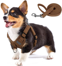 HKM-5553597 Reflective Comfort Dog Harness with Adjustable Strap and Safety Flashing Modes