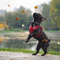 HKM-5553597 Reflective Comfort Dog Harness with Adjustable Strap and Safety Flashing Modes