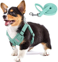 HKM-5553597 Reflective Comfort Dog Harness with Adjustable Strap and Safety Flashing Modes