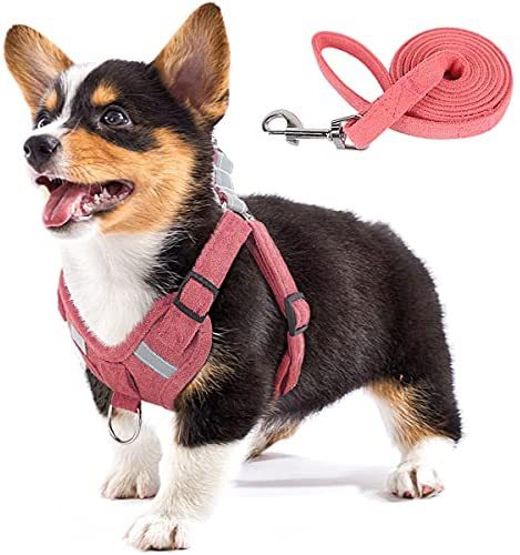 HKM-5553597 Reflective Comfort Dog Harness with Adjustable Strap and Safety Flashing Modes