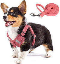 HKM-5553597 Reflective Comfort Dog Harness with Adjustable Strap and Safety Flashing Modes
