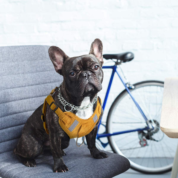 HKM-5553597 Reflective Comfort Dog Harness with Adjustable Strap and Safety Flashing Modes