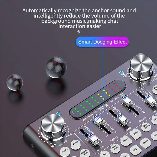 HKM-555603 Professional USB Audio Sound Card Microphone & Headset for Karaoke and Live Performance