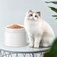 HKM-5560253 Large Capacity High Leg Cat Bowl with Neck Protection and Anti-Tumble Design