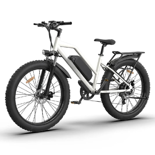 HKM-556179 48V 750W Electric Bike with 13Ah Removable Lithium Battery, 7-Speed Gears, 26" Wheels, and Disc Brakes