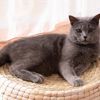 HKM-5561917 Cozy Straw and Corn Husk Cat Bed with 35cm Diameter for Relaxation