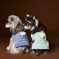 HKM-5564605 Bichon Maltese Sleeveless Sweater Featuring Three-Dimensional Bear Head Design in Blue and Green