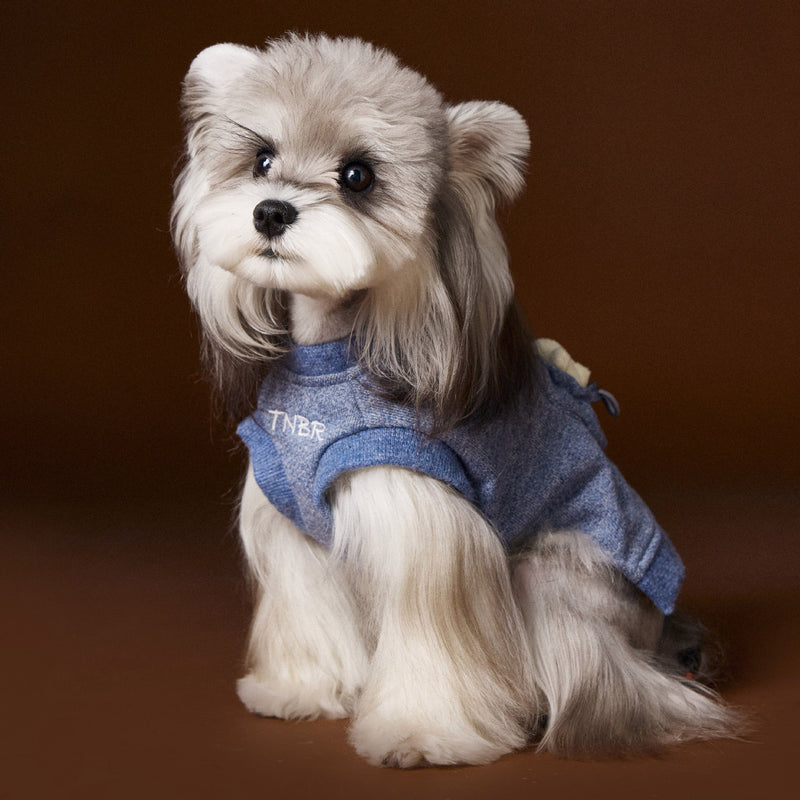 HKM-5564605 Bichon Maltese Sleeveless Sweater Featuring Three-Dimensional Bear Head Design in Blue and Green
