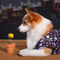 HKM-5566397 Medium Kimono Style Spring and Summer Outfit for Small Dogs