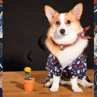 HKM-5566397 Medium Kimono Style Spring and Summer Outfit for Small Dogs
