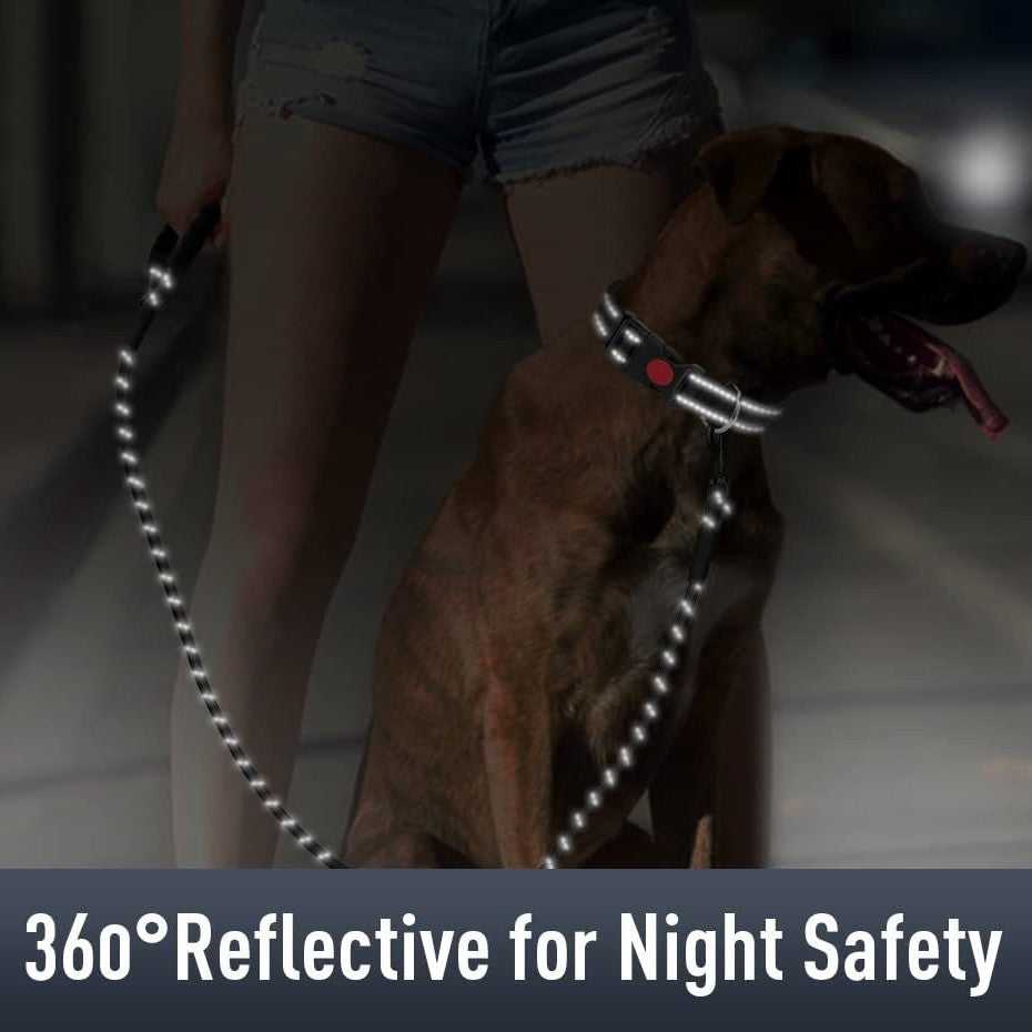HKM-5567805 Reflective Nylon Dog Collar with Monochrome Options for All Seasons