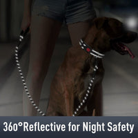 HKM-5567805 Reflective Nylon Dog Collar with Monochrome Options for All Seasons