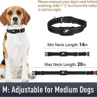 HKM-5567805 Reflective Nylon Dog Collar with Monochrome Options for All Seasons